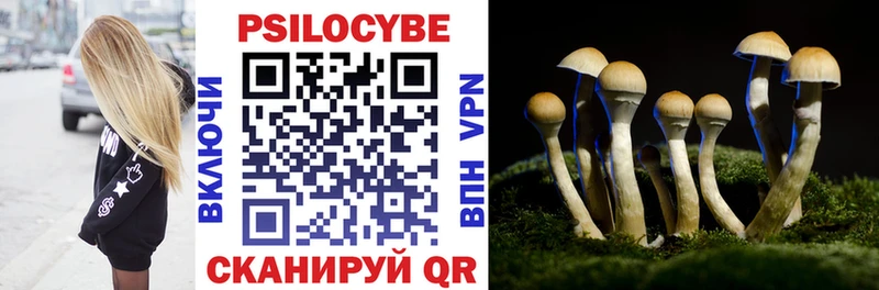 Галлюциногенные грибы Psilocybe  Томилино 