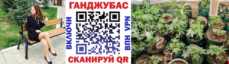 Канабис план  цены   Томилино 